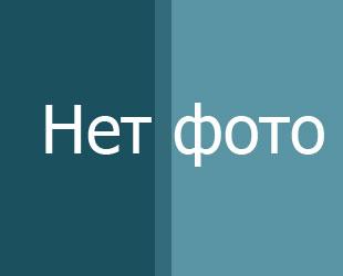 Zarstvo Com Интернет Магазин